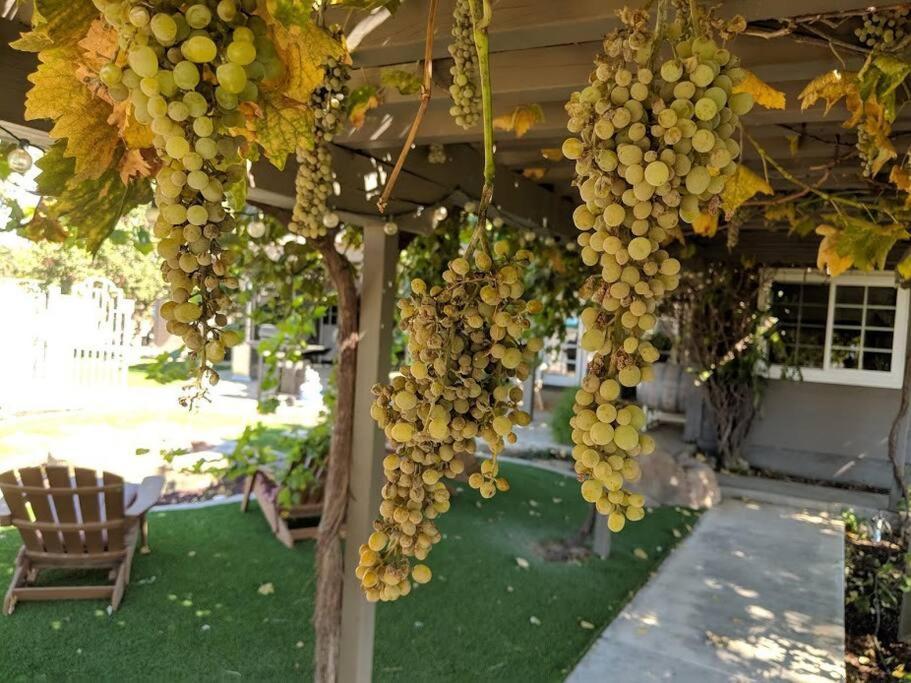 The Vineyard Farmhouse Villa El Paso de Robles Exterior foto