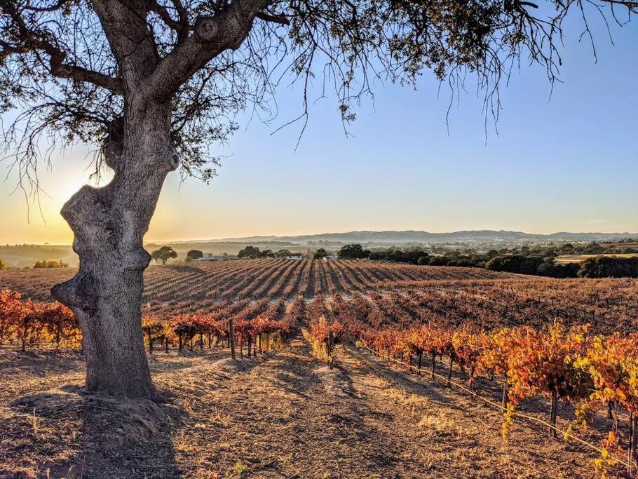 The Vineyard Farmhouse Villa El Paso de Robles Exterior foto