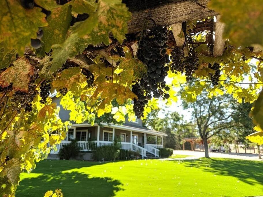 The Vineyard Farmhouse Villa El Paso de Robles Exterior foto